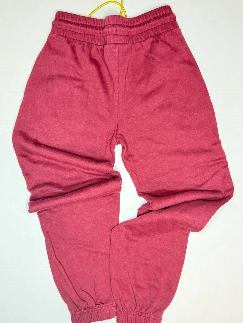Warner Bros. Maroon & Gold Gryffindor Seeker Joggers